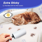 Load image into Gallery viewer, RAINBEAN Lint Rollers For Pet Hair Extra Sticky, 540 Sheets 6 Refills Lint Roller With 2 Upgrade Handles, Portable Lint Remover Brush Pet Hair Remover For Dog Cat Hair Removal, Clothes, Furniture
