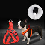 Load image into Gallery viewer, Pet Products LED Luminous Dog Chest Strap Large Dog Luminous Dog Leash
