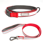 Load image into Gallery viewer, Dog Collar Pet Products Reflective Full Neck Traction Set
